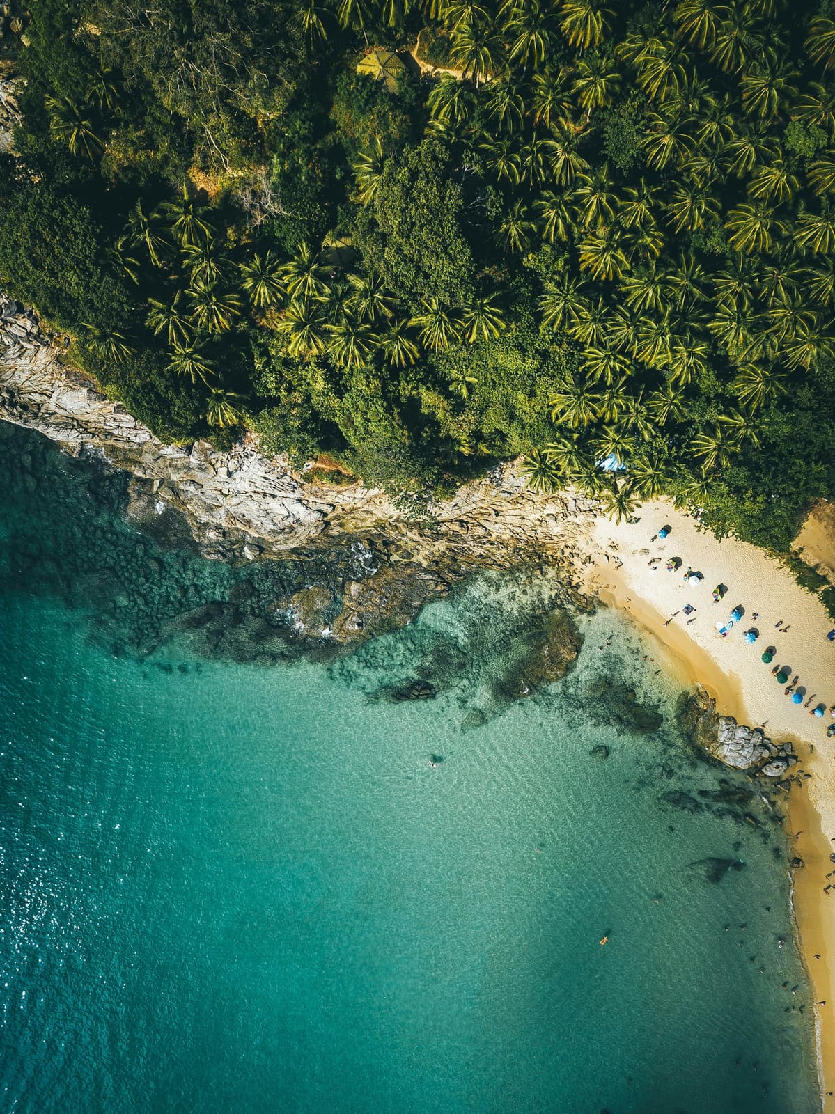 Phuket beach with turquoise water and palm trees from above