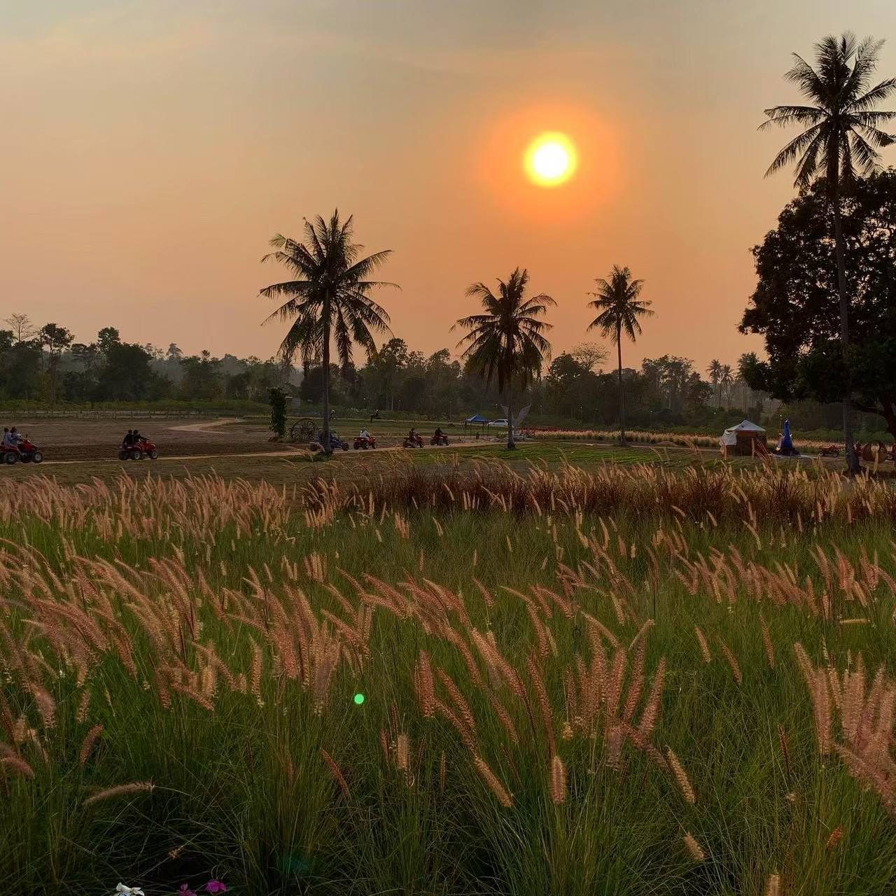 Instagram Tour Pattaya + Bali — photo 4