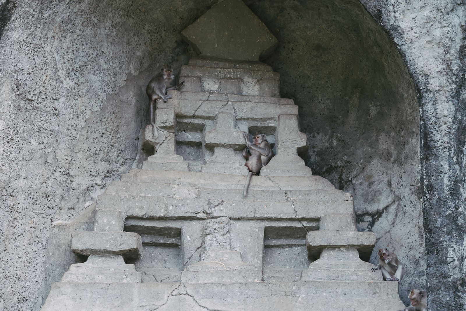 Као Лак сафари — фото 3