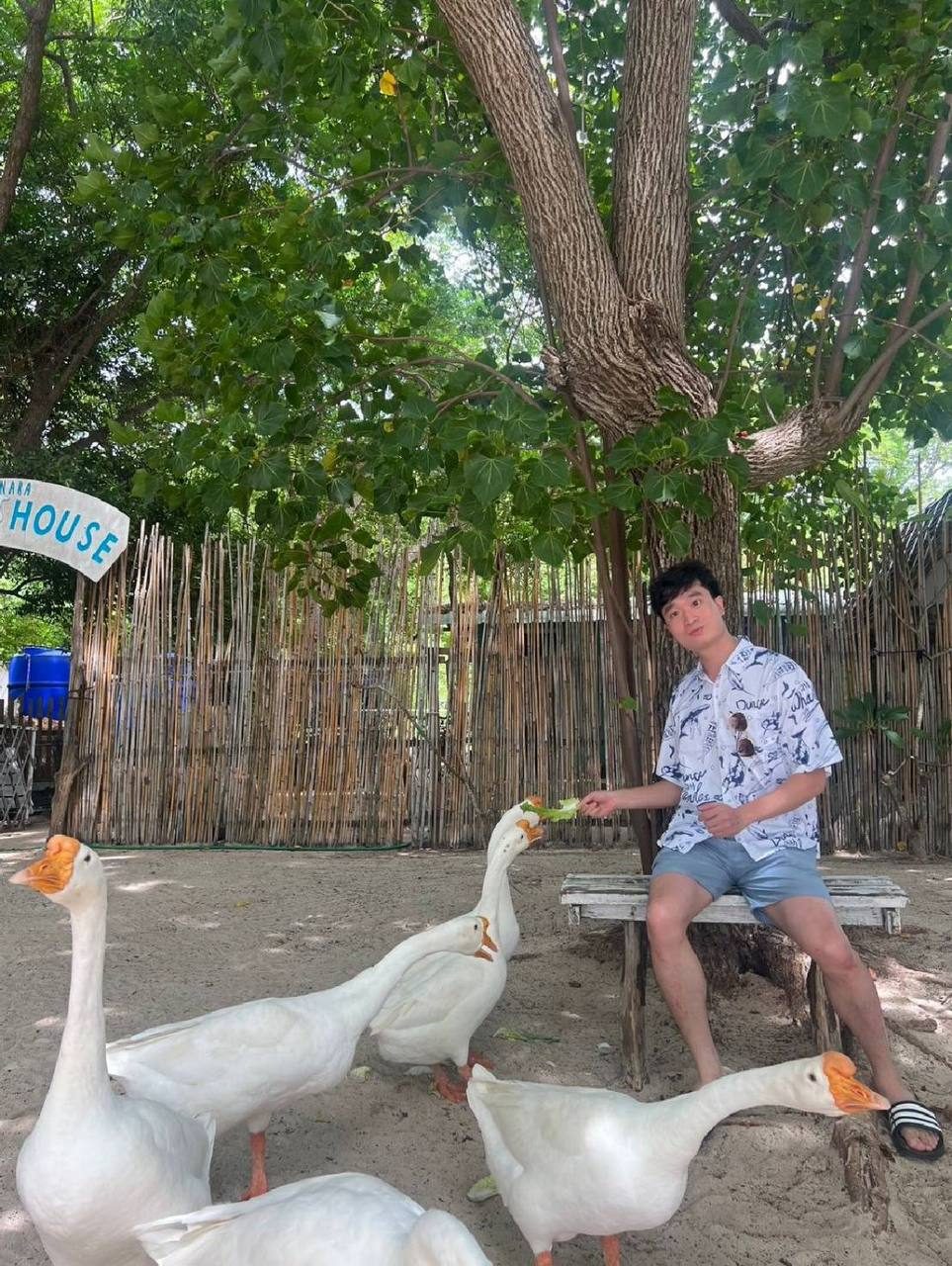 Koh Lan — photo 5