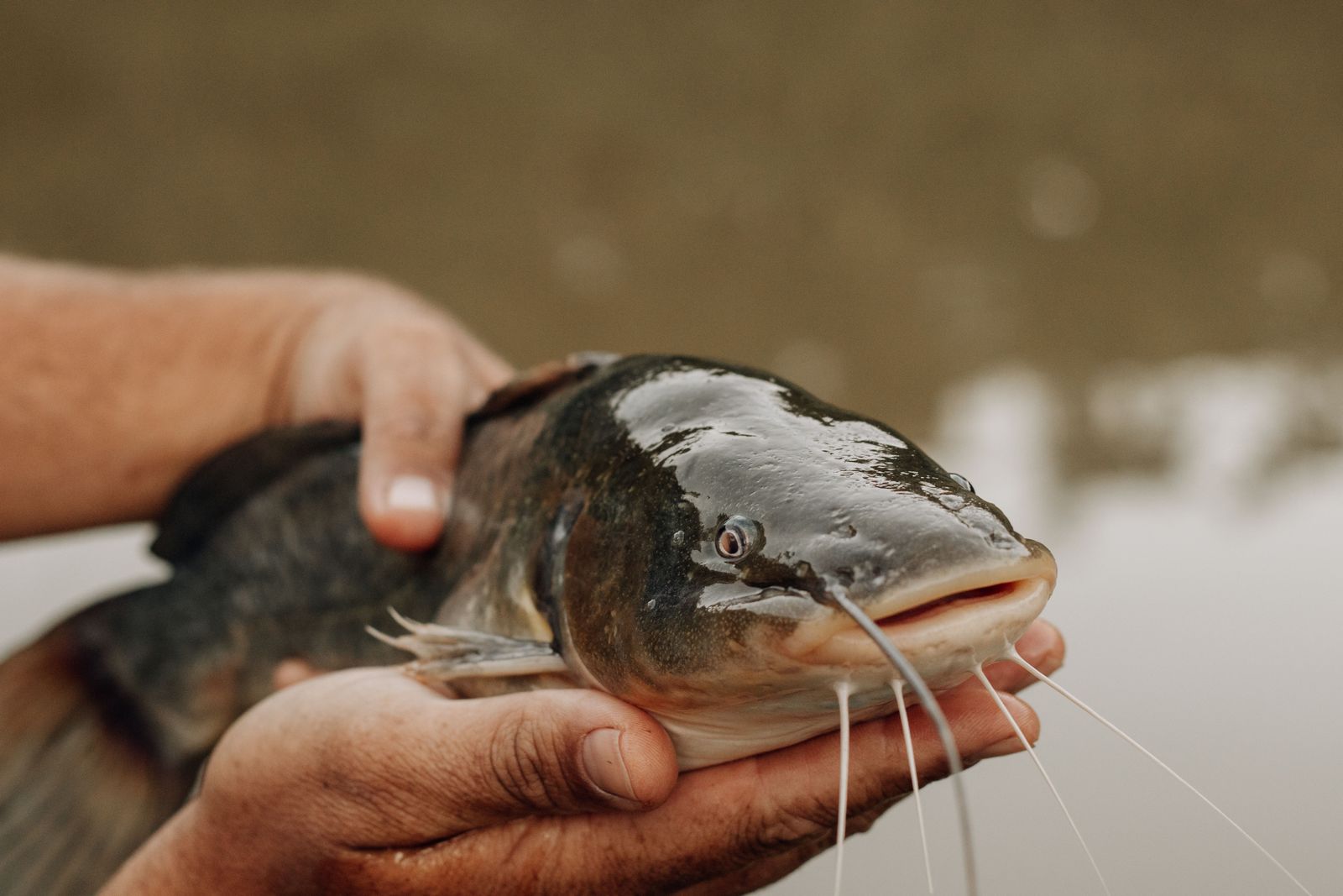 Lake Fishing — photo 3