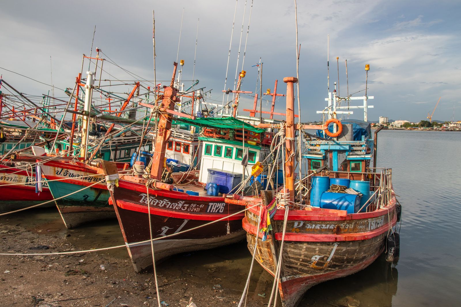 Sea Fishing — морская рыбалка — фото 4
