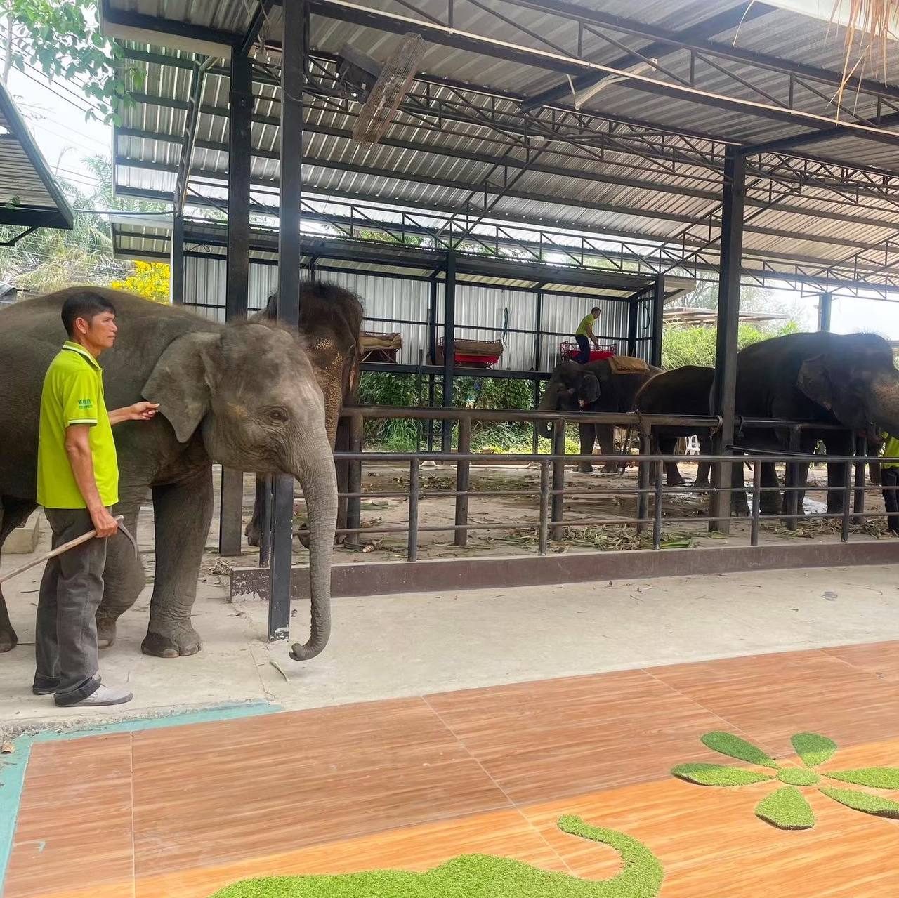 Thai Safari — photo 2